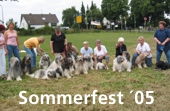 sommerfest05